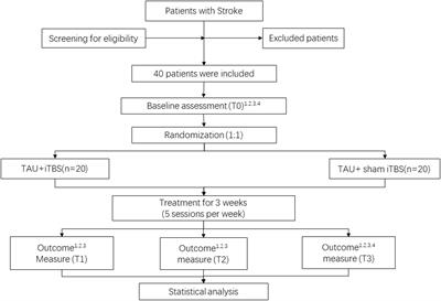 Effects of the Intermittent Theta Burst Stimulation of the <mark class="highlighted">Cerebellar Vermis</mark> on Balance Recovery After Stroke: A Study Protocol for a Randomized Controlled Trial